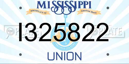 I325822 Mississippi License Plate