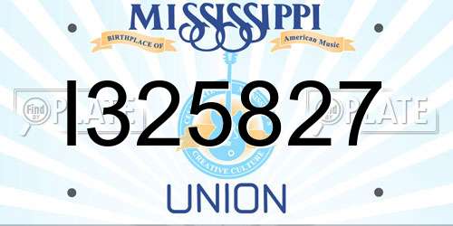 I325827 Mississippi License Plate