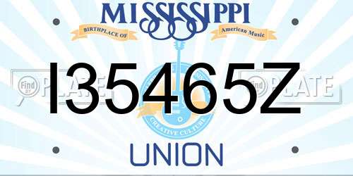 I35465Z Mississippi License Plate
