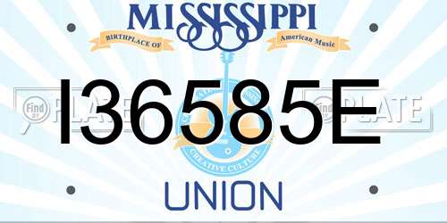 I36585E Mississippi License Plate