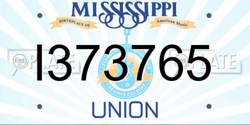 I373765 Mississippi License Plate