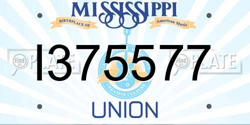 I375577 Mississippi License Plate