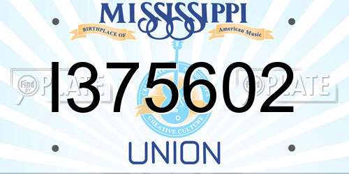 I375602 Mississippi License Plate
