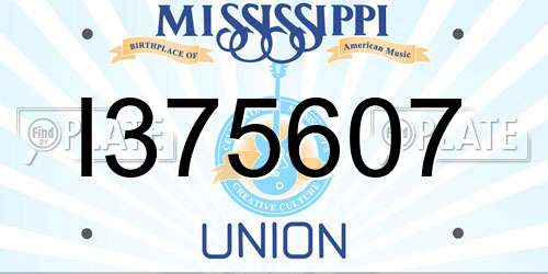 I375607 Mississippi License Plate