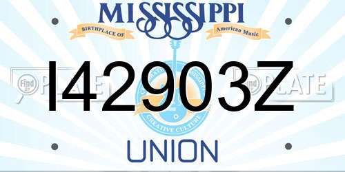 I42903Z Mississippi License Plate
