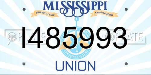 I485993 Mississippi License Plate