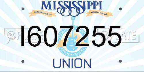 I607255 Mississippi License Plate
