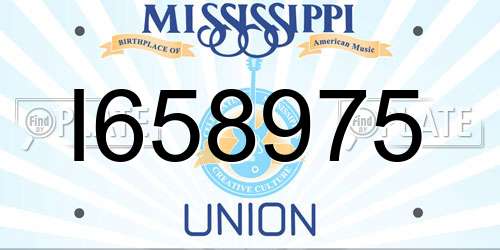 I658975 Mississippi License Plate