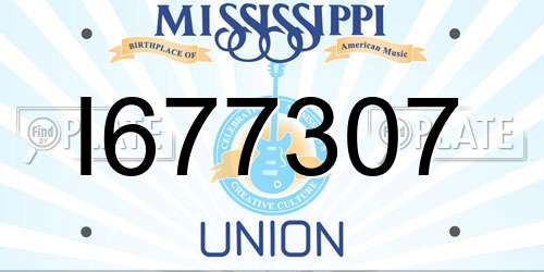 I677307 Mississippi License Plate