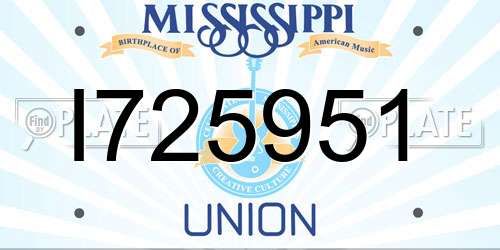 I725951 Mississippi License Plate
