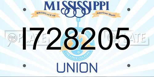 I728205 Mississippi License Plate