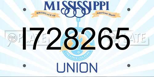 I728265 Mississippi License Plate