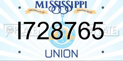 I728765 Mississippi License Plate