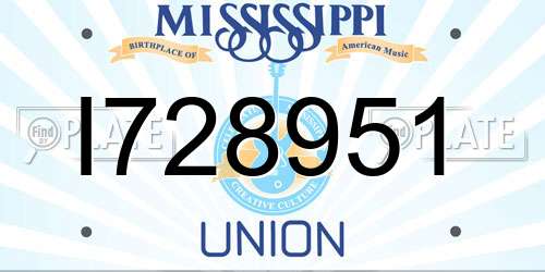 I728951 Mississippi License Plate