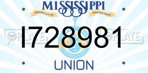 I728981 Mississippi License Plate