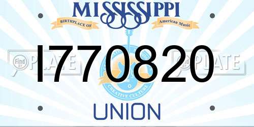 I770820 Mississippi License Plate