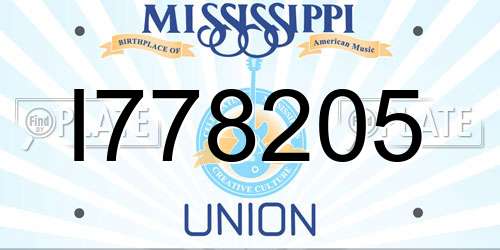 I778205 Mississippi License Plate