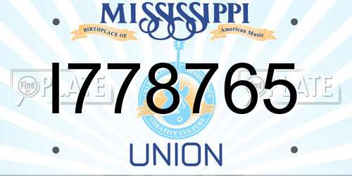 I778765 Mississippi License Plate
