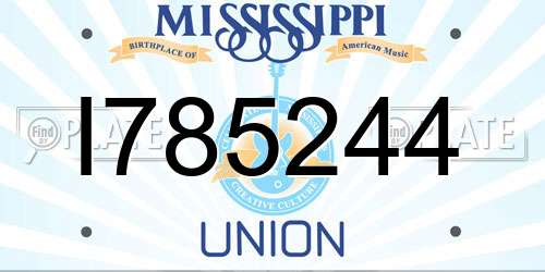 I785244 Mississippi License Plate