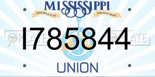 I785844 Mississippi License Plate