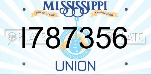 I787356 Mississippi License Plate