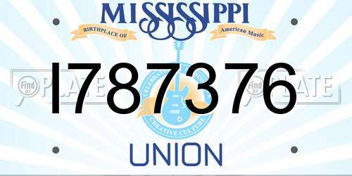 I787376 Mississippi License Plate