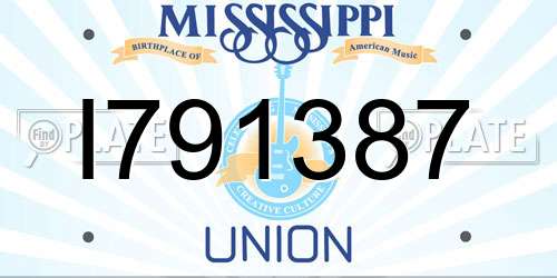 I791387 Mississippi License Plate
