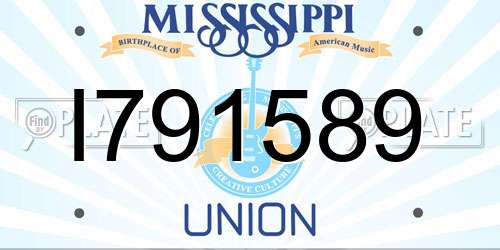 I791589 Mississippi License Plate