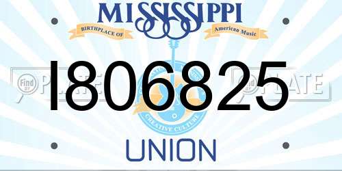 I806825 Mississippi License Plate
