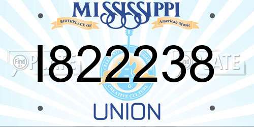 I822238 Mississippi License Plate