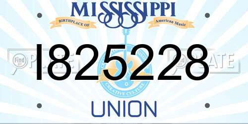 I825228 Mississippi License Plate