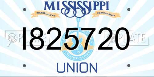I825720 Mississippi License Plate