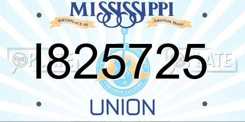 I825725 Mississippi License Plate