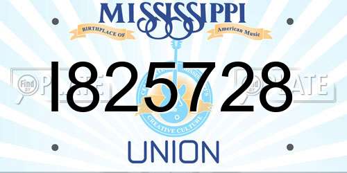 I825728 Mississippi License Plate