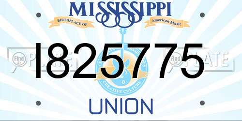 I825775 Mississippi License Plate