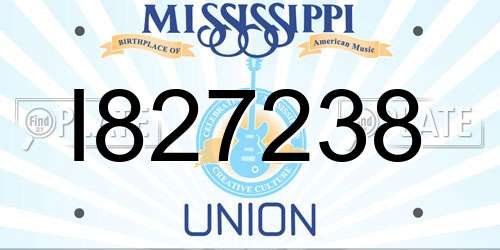 I827238 Mississippi License Plate