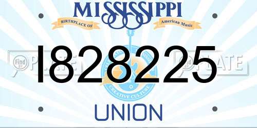I828225 Mississippi License Plate
