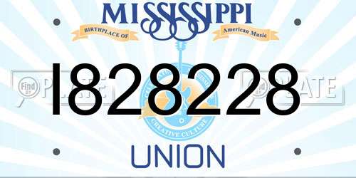 I828228 Mississippi License Plate