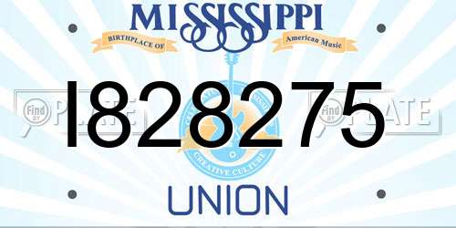 I828275 Mississippi License Plate