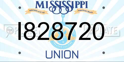 I828720 Mississippi License Plate