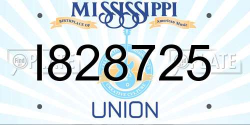 I828725 Mississippi License Plate