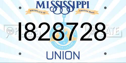I828728 Mississippi License Plate
