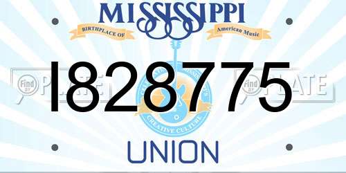 I828775 Mississippi License Plate