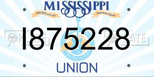 I875228 Mississippi License Plate