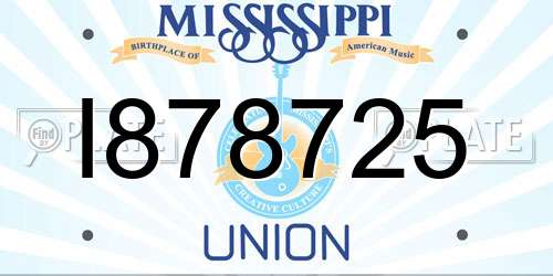 I878725 Mississippi License Plate