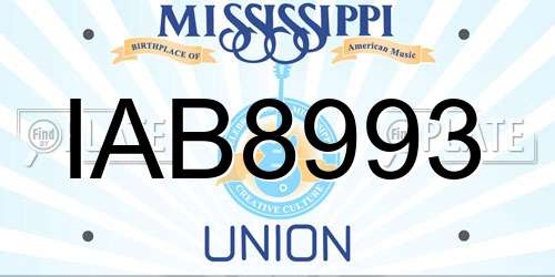 IAB8993 Mississippi License Plate
