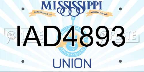IAD4893 Mississippi License Plate