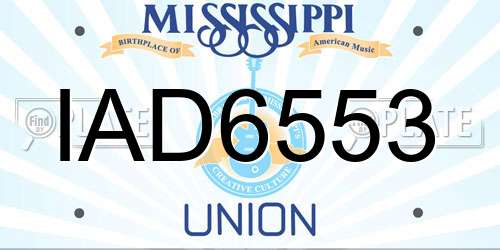 IAD6553 Mississippi License Plate