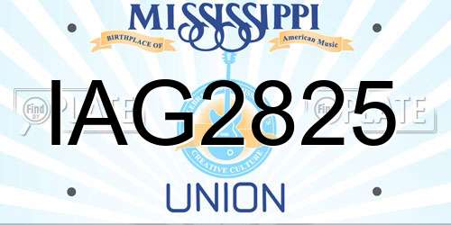 IAG2825 Mississippi License Plate