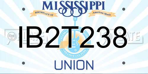 IB2T238 Mississippi License Plate